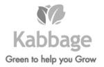 Kabbage Inc. 